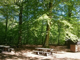 Vakantiehuis Degeberga  13