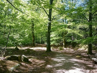 Ferienhaus Degeberga  28