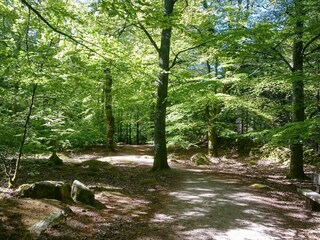Vakantiehuis Degeberga  21