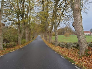 Ferienhaus Degeberga  32