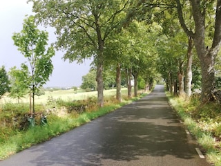 Ferienhaus Degeberga  22