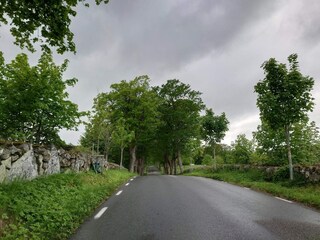 Ferienhaus Degeberga  13