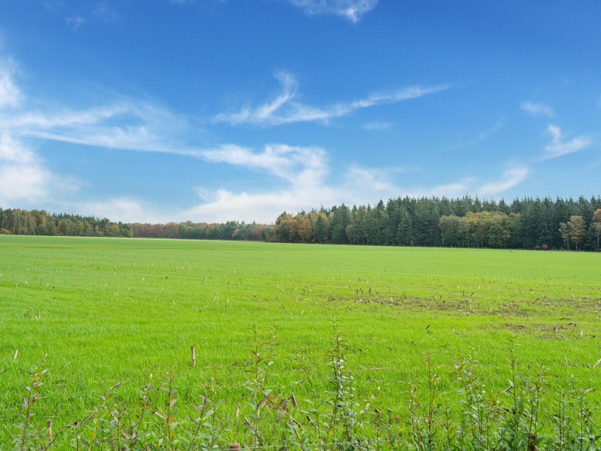 Casa per le vacanze Hilvarenbeek Ambiente 1