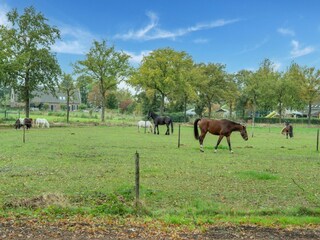 Vakantiehuis Hilvarenbeek Buitenaudio-opname 3
