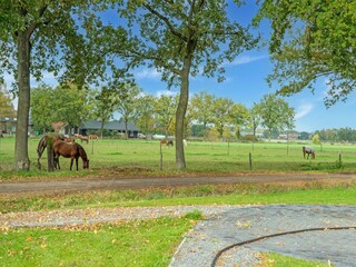 Maison de vacances Hilvarenbeek Environnement 35