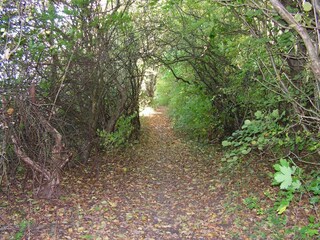 Vakantiehuis Greve (Seeland)  8