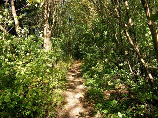 Casa per le vacanze Greve (Seeland)  8