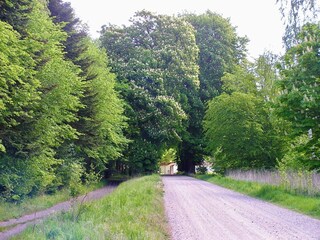 Vakantiehuis Greve (Seeland)  11