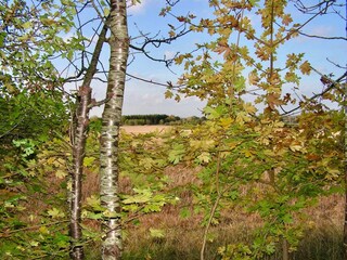 Maison de vacances Greve (Seeland)  20