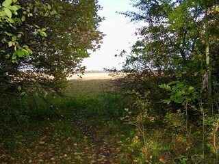 Maison de vacances Greve (Seeland)  13