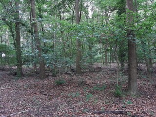 Vakantiehuis Greve (Seeland)  16