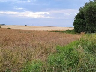 Casa per le vacanze Greve (Seeland)  35