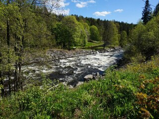 Ferienhaus Bengtsfors  22