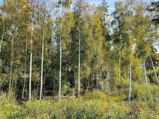 Ferienhaus Bengtsfors  19