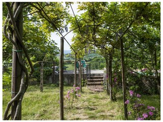 Villa Rignano sull'Arno Registrazione all'aperto 10