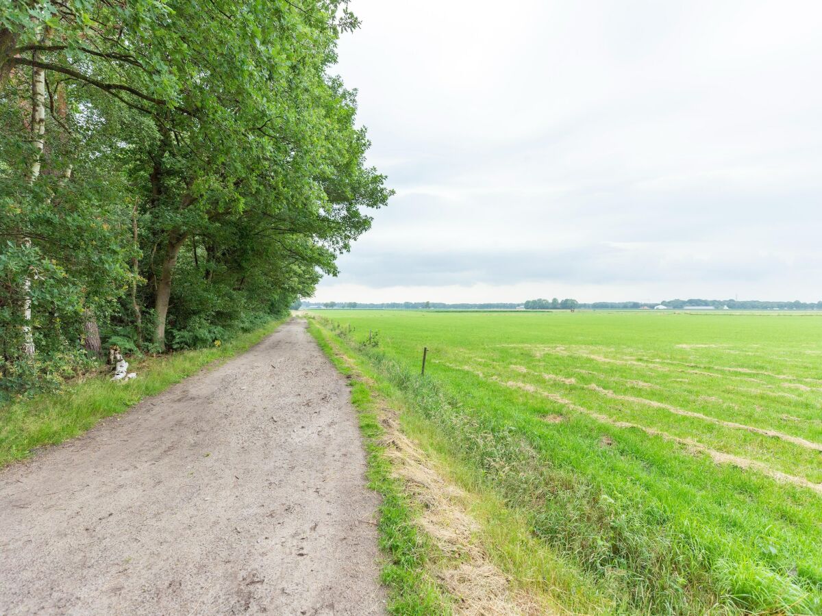 Ferienhaus Hilvarenbeek Umgebung 28