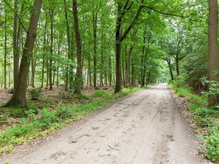 Casa per le vacanze Hilvarenbeek Ambiente 34