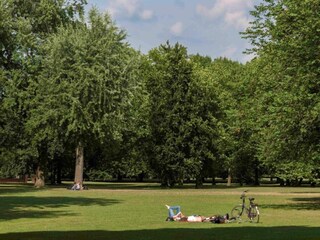 Maison de vacances Hilvarenbeek Environnement 43