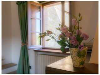 Villa Città di Castello Caratteristiche 27