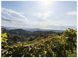 Villa Montignoso Ambiente 36