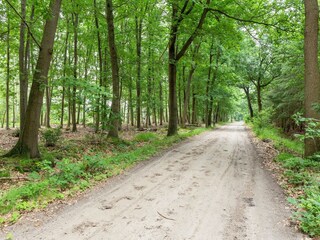 Vakantiehuis Hilvarenbeek Omgeving 32