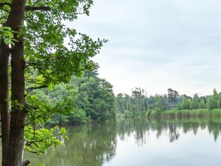 Vakantiehuis Hilvarenbeek Omgeving 33
