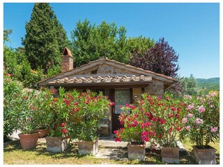 Villa Castiglion Fiorentino Umgebung 24