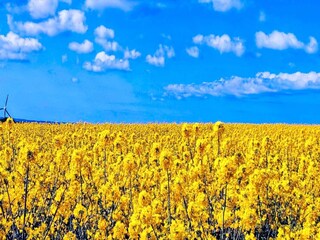 Ferienhaus Jægerspris  31
