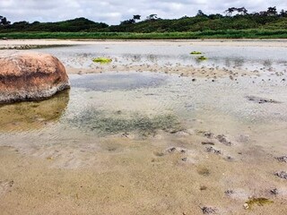 Ferienhaus Jægerspris  17