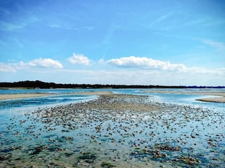 Ferienhaus Jægerspris  18