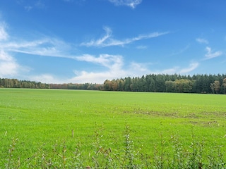 Maison de vacances Hilvarenbeek Environnement 35