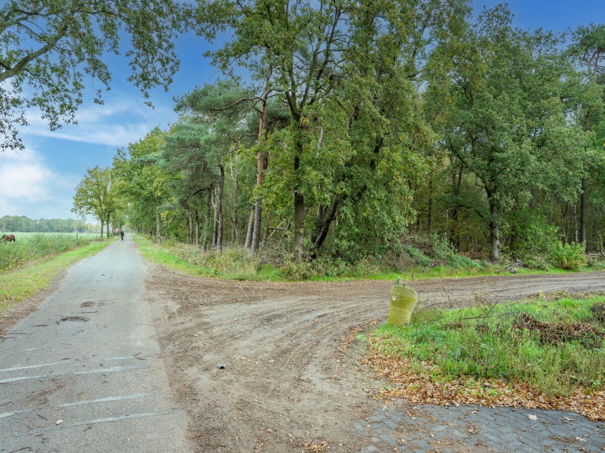 Ferienhaus Hilvarenbeek Umgebung 34