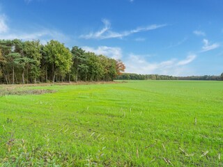 Maison de vacances Hilvarenbeek Environnement 35