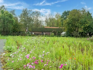 Maison de vacances Hilvarenbeek Environnement 37