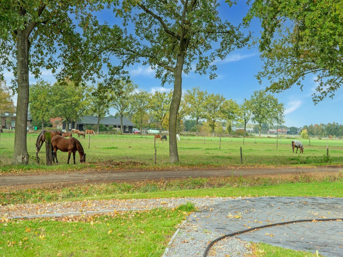 Ferienhaus Hilvarenbeek Umgebung 36