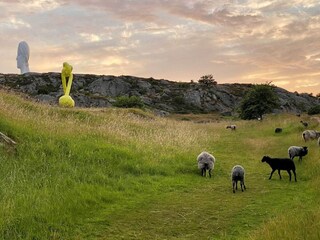 Vakantiehuis Klädesholmen  17