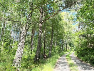 Ferienhaus Klädesholmen  14