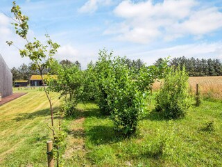 Vakantiehuis Saltum  22