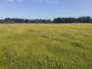 Vakantiehuis Skagen  24