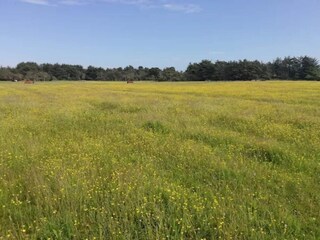 Vakantiehuis Skagen  37