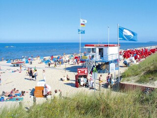 Appartement Trassenheide Omgeving 20