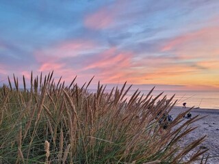 Ferienhaus Skagen  31