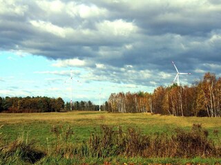 Ferienhaus Elsterheide Umgebung 11
