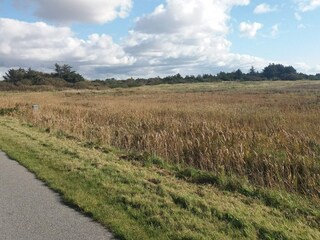 Maison de vacances Søndervig  30