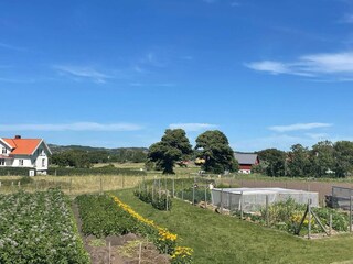 Vakantiehuis Klädesholmen  12