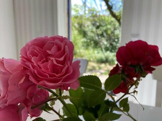 Holiday house Klädesholmen  6