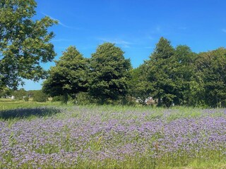 Ferienhaus Klädesholmen  24