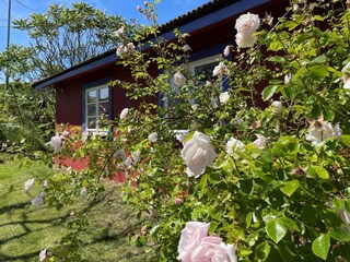 Vakantiehuis Klädesholmen Buitenaudio-opname 2
