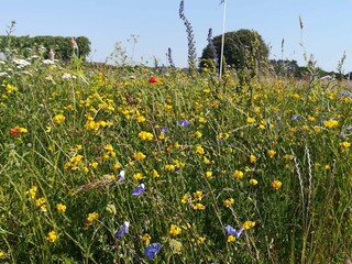 Holiday house Nakskov  8