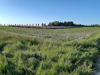 Casa de vacaciones Nakskov  26